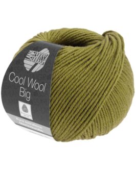 <span class="yarn-title">Cool Wool Big Uni</span> <span class="yarn-color">1006 Helloliv</span>