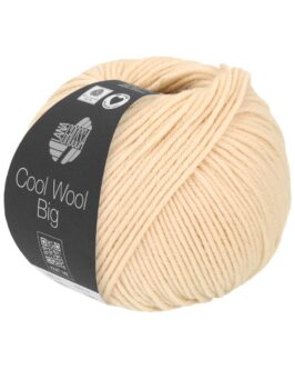 <span class="yarn-title">Cool Wool Big Uni</span> <span class="yarn-color">1016 Muschel</span>