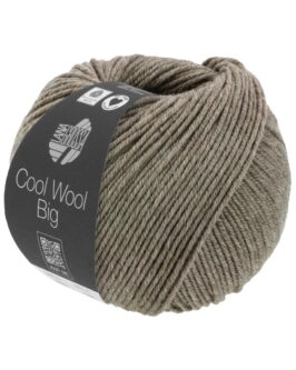 <span class="yarn-title">Cool Wool Big Mélange</span> <span class="yarn-color">1621 Graubraun Meliert</span>