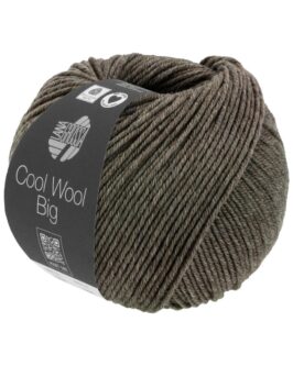 <span class="yarn-title">Cool Wool Big Mélange</span> <span class="yarn-color">1622 Dunkelbraun Meliert</span>