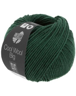 <span class="yarn-title">Cool Wool Big Mélange</span> <span class="yarn-color">1625 Dunkelgrün Meliert</span>