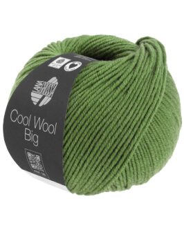 <span class="yarn-title">Cool Wool Big Mélange</span> <span class="yarn-color">1634 Grün Meliert</span>