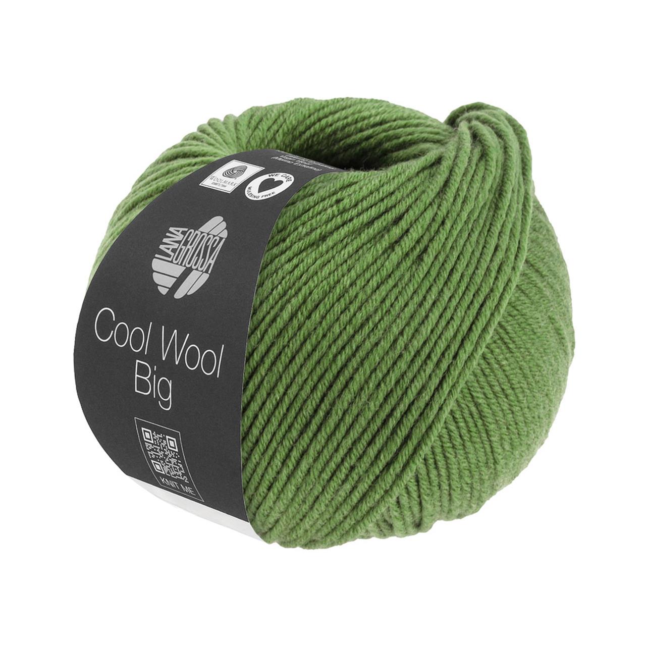 Cool Wool Big Mélange 1634 Grün Meliert