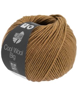 <span class="yarn-title">Cool Wool Big Mélange</span> <span class="yarn-color">1623 Karamell Meliert</span>