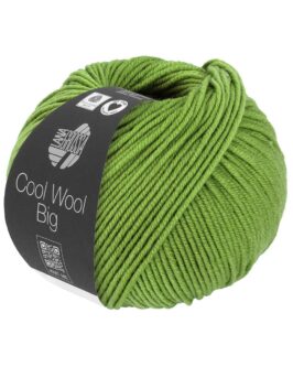<span class="yarn-title">Cool Wool Big Uni</span> <span class="yarn-color">1022 Kleeblattgrün</span>