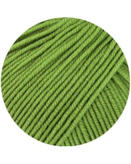 <span class="yarn-title">Cool Wool Big Uni</span> <span class="yarn-color">1022 Kleeblattgrün</span>