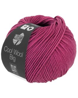 <span class="yarn-title">Cool Wool Big Uni</span> <span class="yarn-color">1027 Indischrot</span>