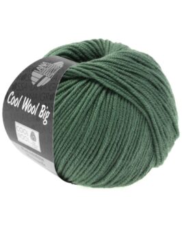 <span class="yarn-title">Cool Wool Big Uni</span> <span class="yarn-color">967 Resedagrün</span>