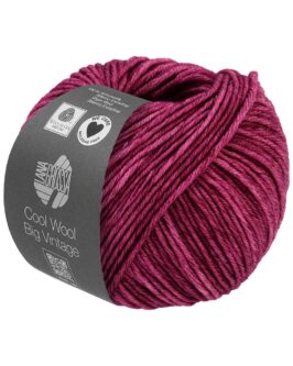 <span class="yarn-title">Cool Wool Big Vintage</span> <span class="yarn-color">7177 Indischrot</span>