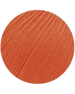 <span class="yarn-title">Cool Wool Lace</span> <span class="yarn-color">21 Lachsrot</span>