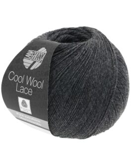 <span class="yarn-title">Cool Wool Lace</span> <span class="yarn-color">25 Anthrazit</span>