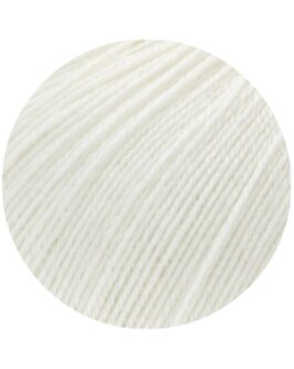 <span class="yarn-title">Cool Wool Lace</span> <span class="yarn-color">28 Weiß</span>