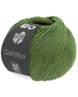 <span class="yarn-title">Cool Wool Mélange</span> <span class="yarn-color">1434 Grün Meliert</span>