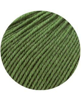 <span class="yarn-title">Cool Wool Mélange</span> <span class="yarn-color">1434 Grün Meliert</span>