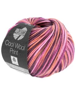 <span class="yarn-title">Cool Wool Print</span> <span class="yarn-color">832 Ecru/<wbr>Vanille/<wbr>Türkis/<wbr>Petrol</span>