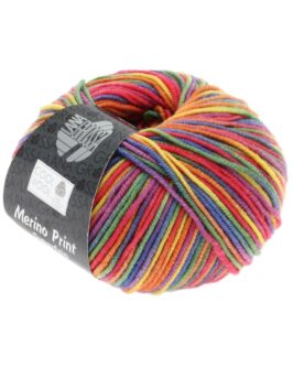 <span class="yarn-title">Cool Wool Print</span> <span class="yarn-color">703 Lila/<wbr>Grün/<wbr>Himbeer/<wbr>Orange/<wbr>Gelb/<wbr>Blau</span>