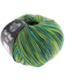 <span class="yarn-title">Cool Wool Print</span> <span class="yarn-color">784 Gelbgrün/<wbr>Türkis/<wbr>Graugrün/<wbr>Petrol</span>