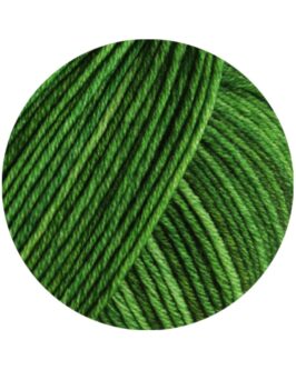 <span class="yarn-title">Cool Wool Vintage</span> <span class="yarn-color">7374 Grün</span>