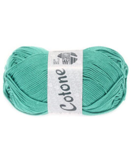 <span class="yarn-title">Cotone Uni</span> <span class="yarn-color">43 Hellpetrol</span>
