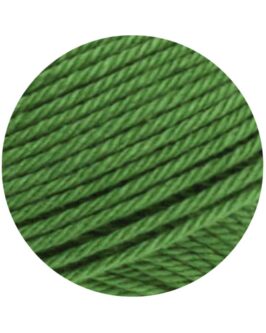 <span class="yarn-title">Cotone Uni</span> <span class="yarn-color">54 Farngrün</span>