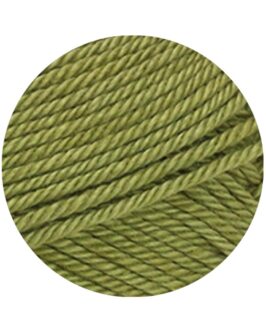 <span class="yarn-title">Cotone Uni</span> <span class="yarn-color">117 Oliv</span>