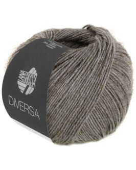 <span class="yarn-title">Diversa</span> <span class="yarn-color">15 Dunkelgrau</span>