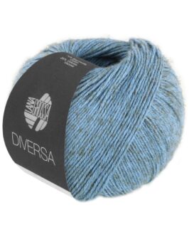 <span class="yarn-title">Diversa</span> <span class="yarn-color">16 Graublau</span>