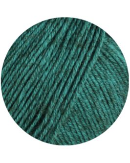 <span class="yarn-title">Diversa</span> <span class="yarn-color">18 Opalgrün</span>