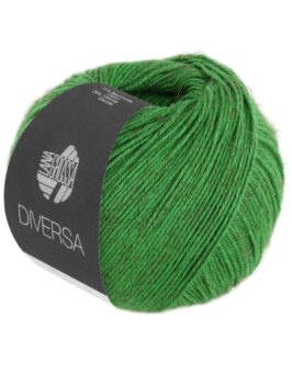 <span class="yarn-title">Diversa</span> <span class="yarn-color">19 Grasgrün</span>