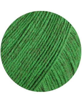 <span class="yarn-title">Diversa</span> <span class="yarn-color">19 Grasgrün</span>