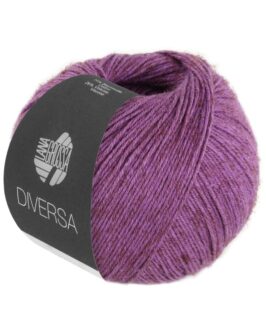 <span class="yarn-title">Diversa</span> <span class="yarn-color">20 Pflaume</span>