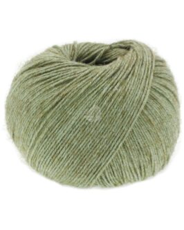 <span class="yarn-title">Diversa</span> <span class="yarn-color">10 Graugrün</span>