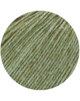 <span class="yarn-title">Diversa</span> <span class="yarn-color">10 Graugrün</span>