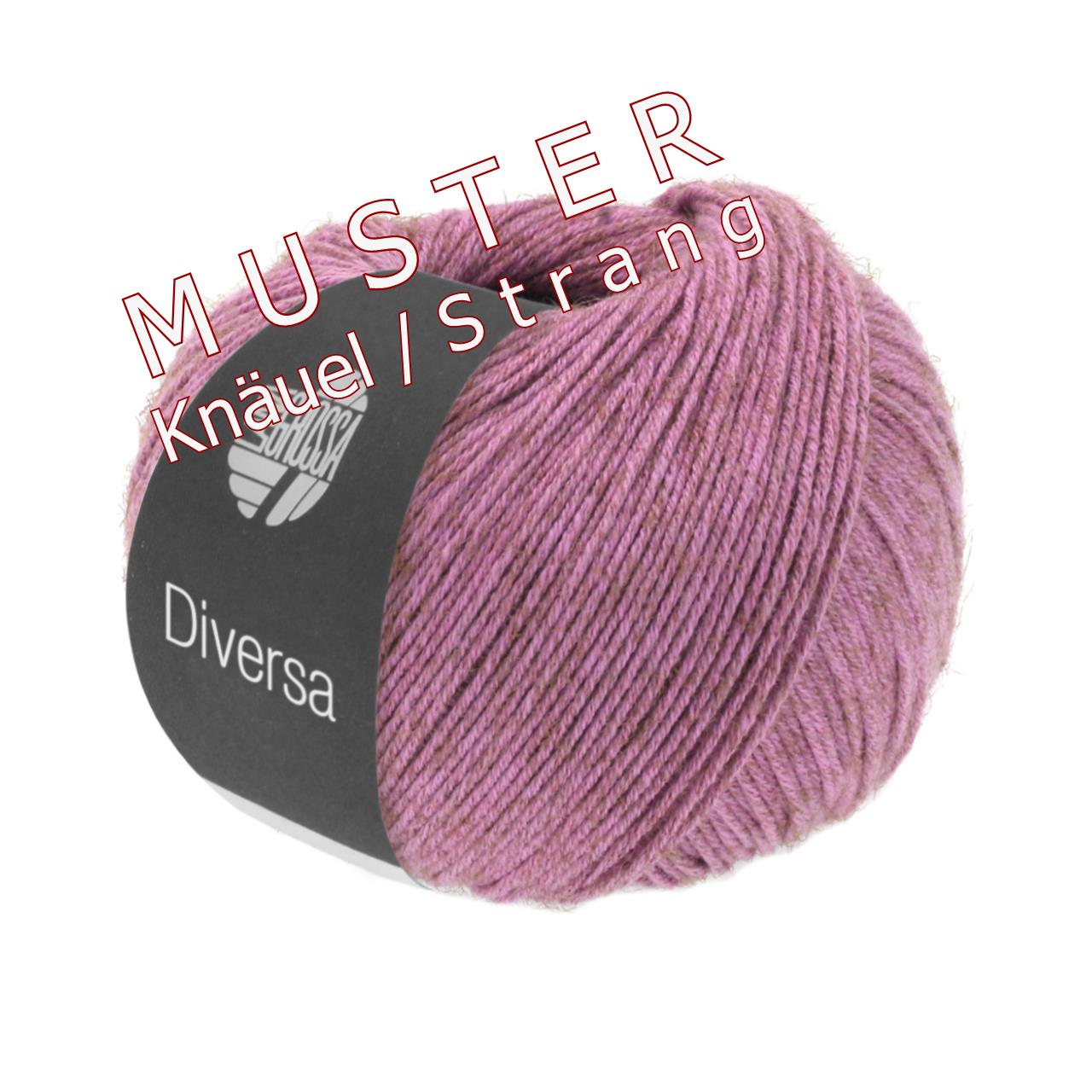 Diversa 3 Beere