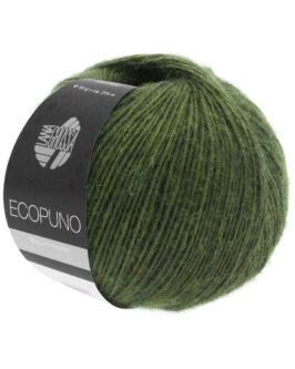 <span class="yarn-title">Ecopuno</span> <span class="yarn-color">1 Loden</span>