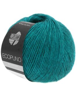 <span class="yarn-title">Ecopuno</span> <span class="yarn-color">12 Petrol</span>