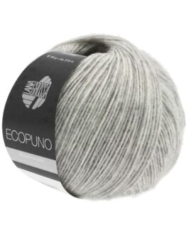 <span class="yarn-title">Ecopuno</span> <span class="yarn-color">14 Hellgrau</span>