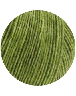 <span class="yarn-title">Ecopuno</span> <span class="yarn-color">2 Apfelgrün</span>