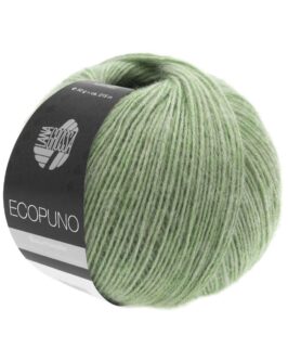 <span class="yarn-title">Ecopuno</span> <span class="yarn-color">20 Hellgrün</span>