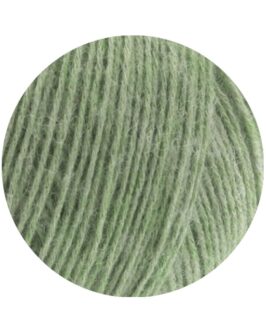 <span class="yarn-title">Ecopuno</span> <span class="yarn-color">20 Hellgrün</span>