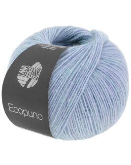 <span class="yarn-title">Ecopuno</span> <span class="yarn-color">207 Pastellblau</span>