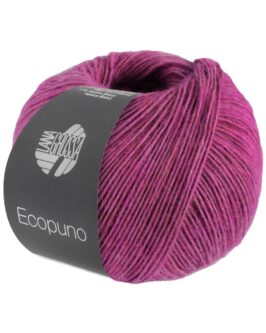 <span class="yarn-title">Ecopuno</span> <span class="yarn-color">209 Orchidee</span>