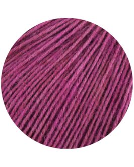 <span class="yarn-title">Ecopuno</span> <span class="yarn-color">209 Orchidee</span>
