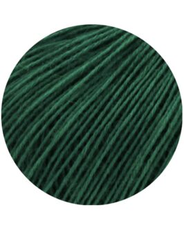 <span class="yarn-title">Ecopuno</span> <span class="yarn-color">210 Tannengrün</span>