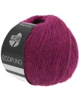 <span class="yarn-title">Ecopuno</span> <span class="yarn-color">22 Purpur</span>