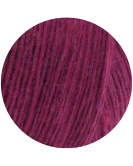 <span class="yarn-title">Ecopuno</span> <span class="yarn-color">22 Purpur</span>