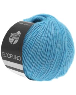 <span class="yarn-title">Ecopuno</span> <span class="yarn-color">29 Türkisblau</span>