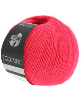 <span class="yarn-title">Ecopuno</span> <span class="yarn-color">36 Himbeer</span>