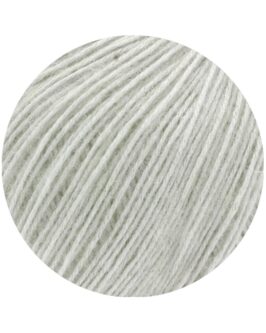 <span class="yarn-title">Ecopuno</span> <span class="yarn-color">45 Silbergrau</span>