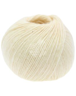 <span class="yarn-title">Ecopuno</span> <span class="yarn-color">46 Ecru</span>